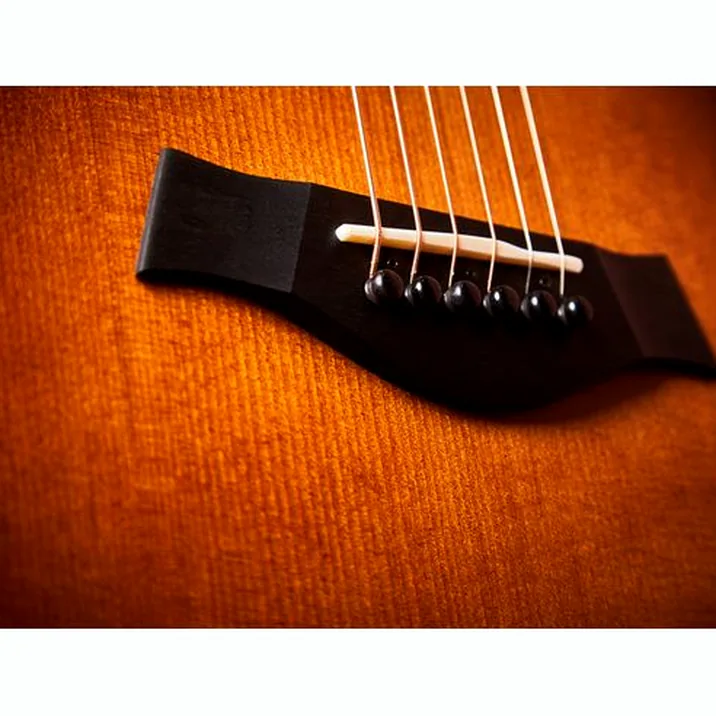 Taylor 614ce Builder's Edition WHB