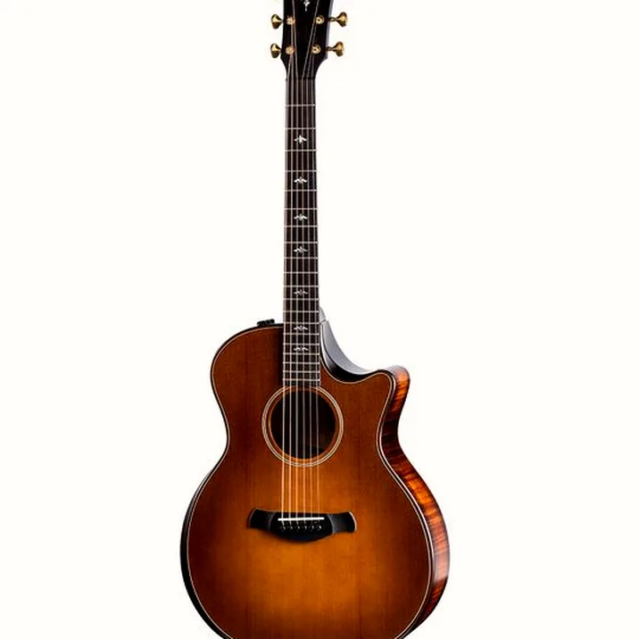 Taylor 614ce Builder