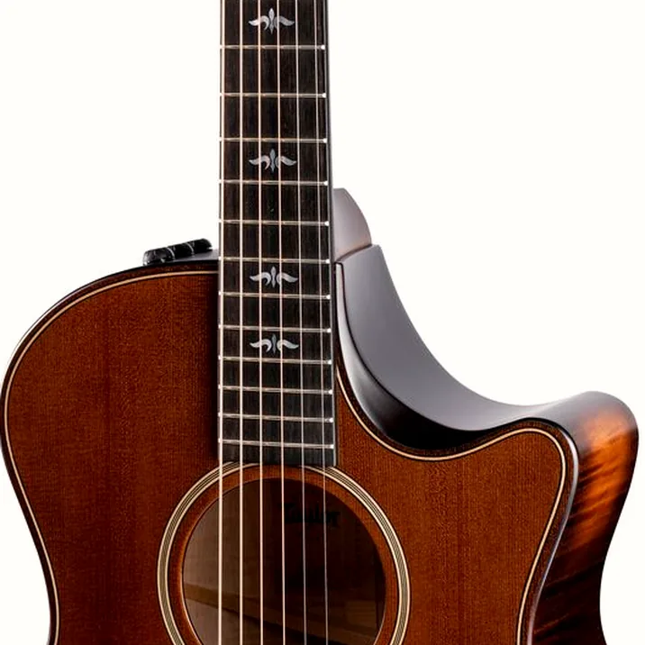 Taylor 614ce Builder's Edition WHB
