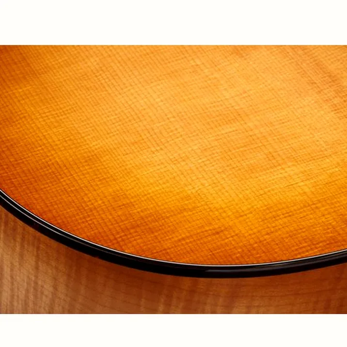 Taylor 614ce Next Generation