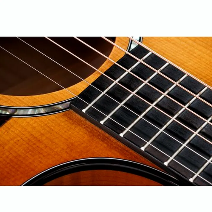 Taylor 614ce Next Generation