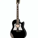 Reseña completa de la Taylor 657ce Bajo Quinto BLK : Opiniones de expertos