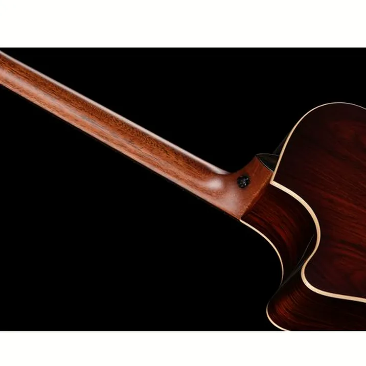 Taylor 814ce Cocobolo Next Gen LTD
