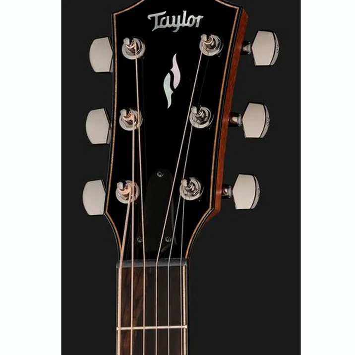 Taylor 814ce Cocobolo Next Gen LTD