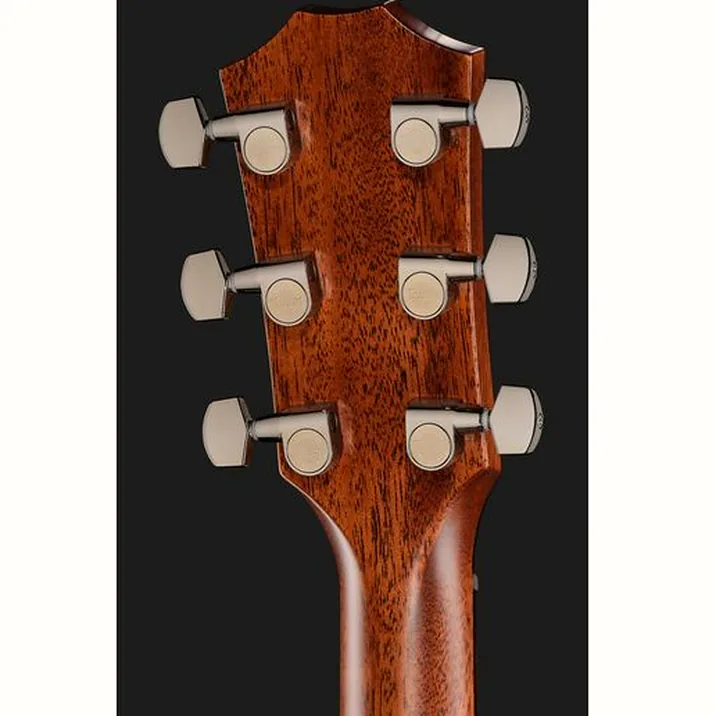 Taylor 814ce Cocobolo Next Gen LTD