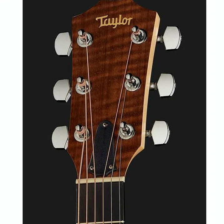Taylor A10