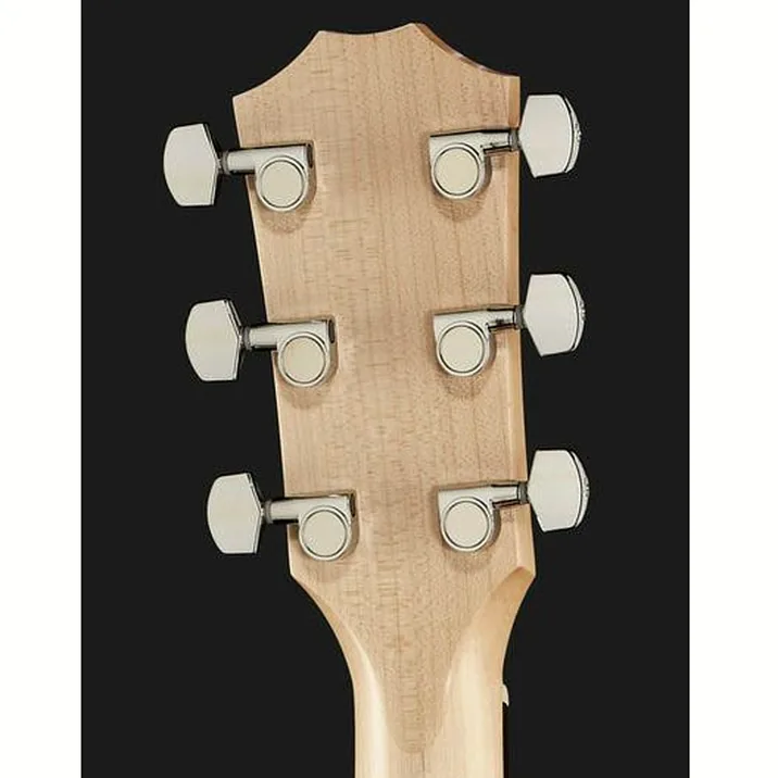 Taylor A10