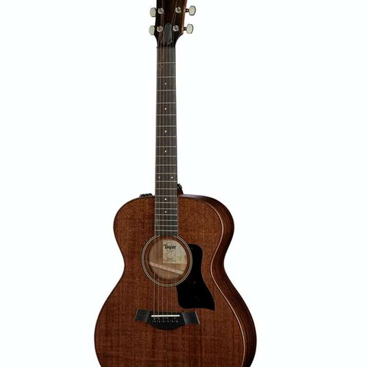 Taylor AD22e