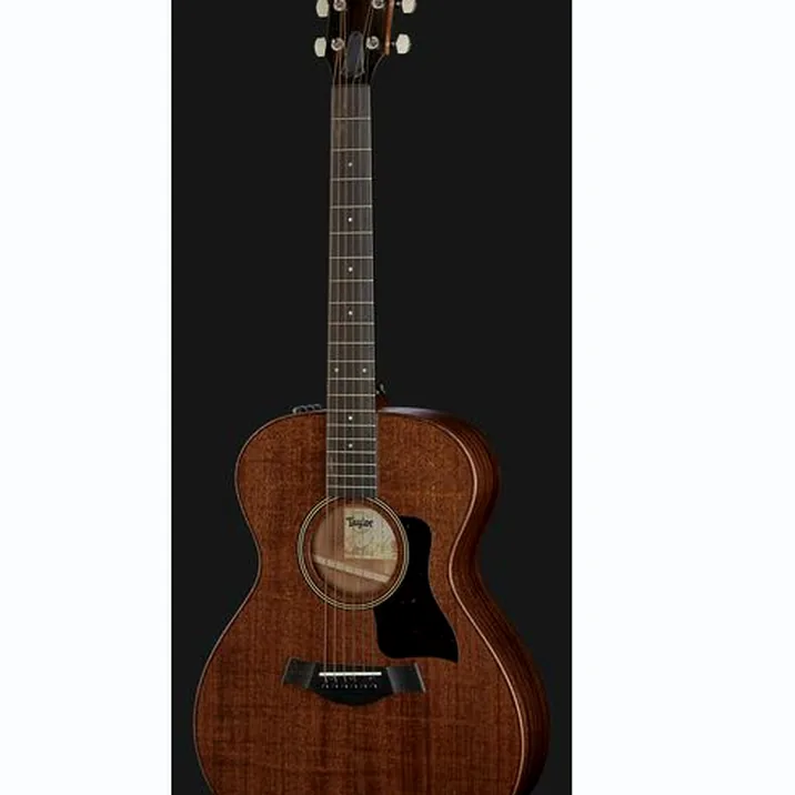 Taylor AD22e