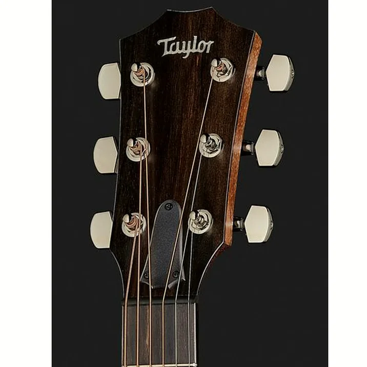 Taylor Ad22E