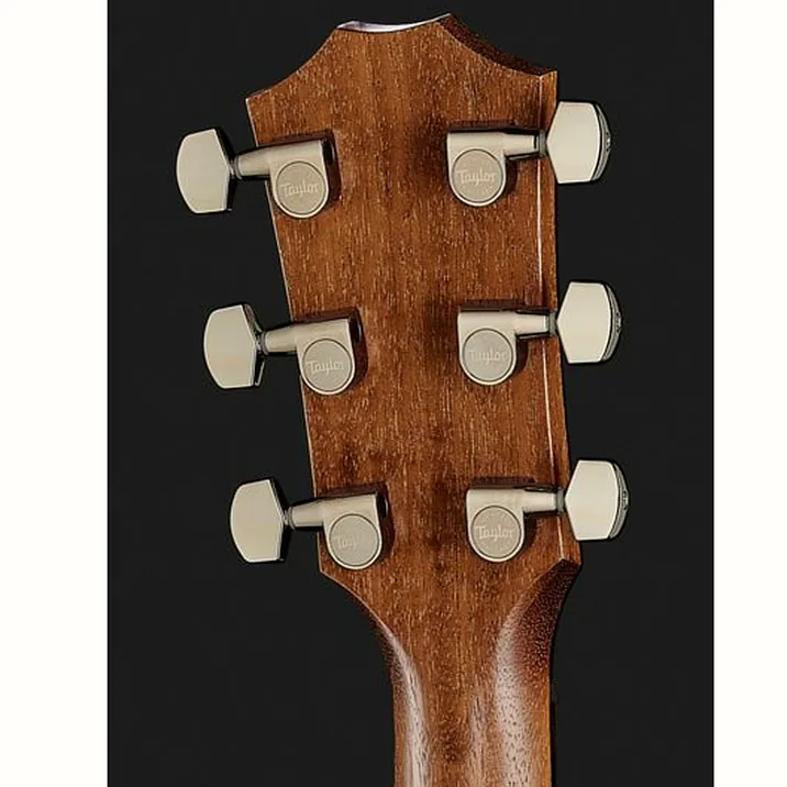 Taylor Ad22E