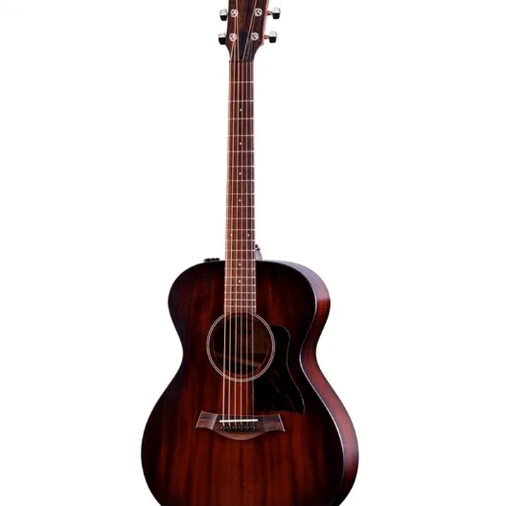 Taylor American Dream AD22e SEB