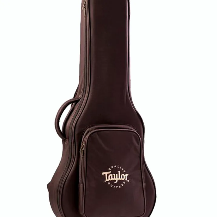 Taylor American Dream AD22e SEB