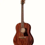 Taylor American Dream AD27e : Opiniones destacadas y mejor oferta