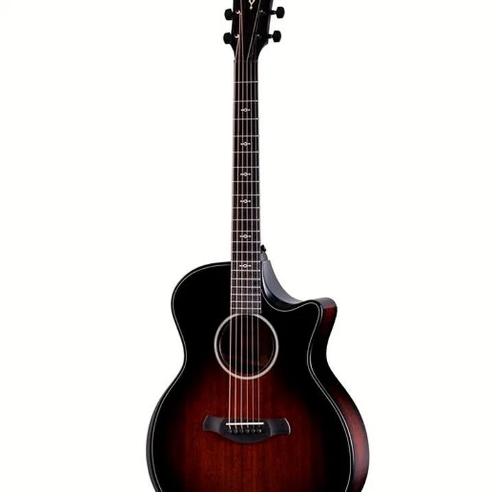 Taylor BE 324ce Next Generation