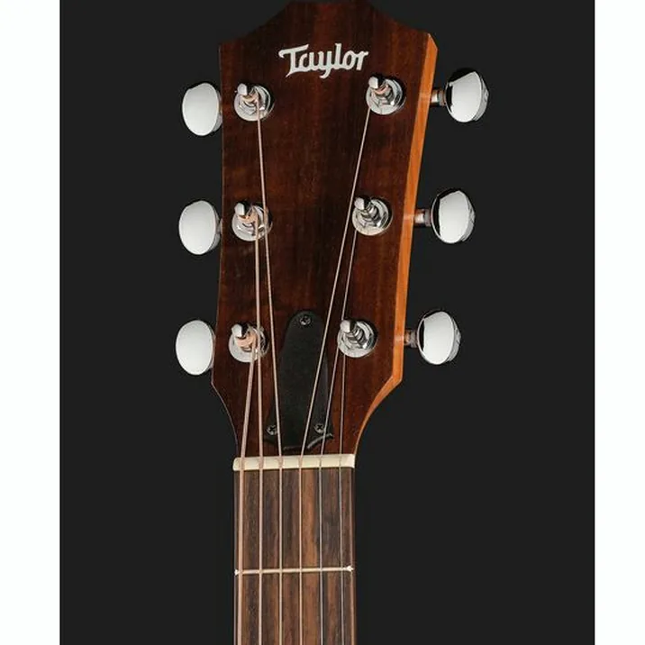 Taylor Big Baby Taylor BBT EC