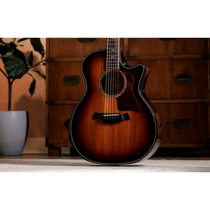 Taylor Builder’s Ed. 814ce Sinker