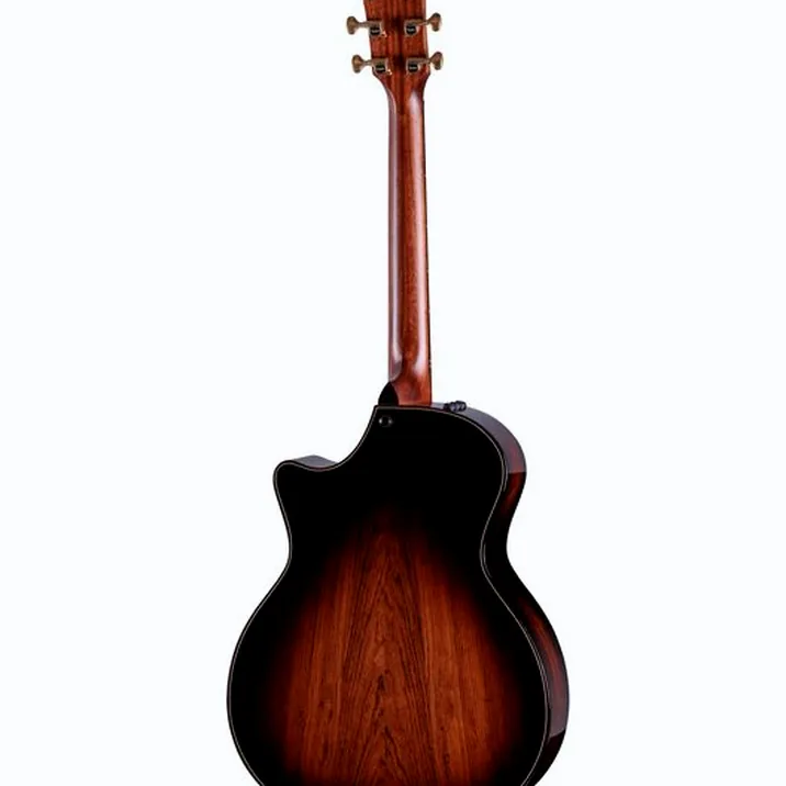 Taylor Builder’s Ed. 814ce Sinker