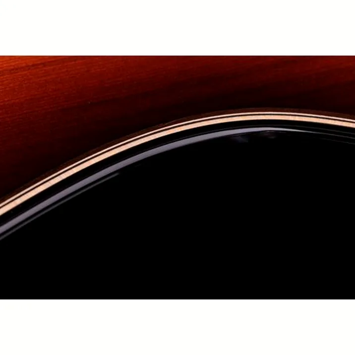 Taylor Builder’s Ed. 814ce Sinker