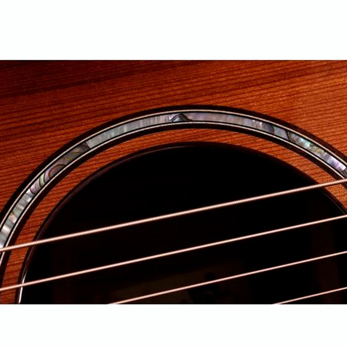Taylor Builder’s Ed. 814ce Sinker