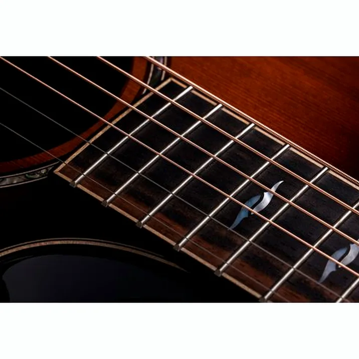 Taylor Builder’s Ed. 814ce Sinker