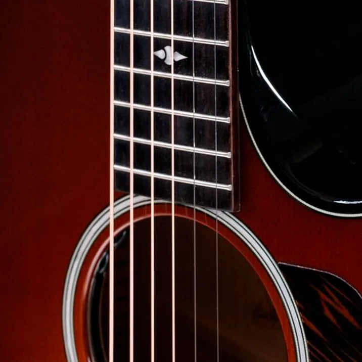 Taylor Builders Edition 514ce Kona NG