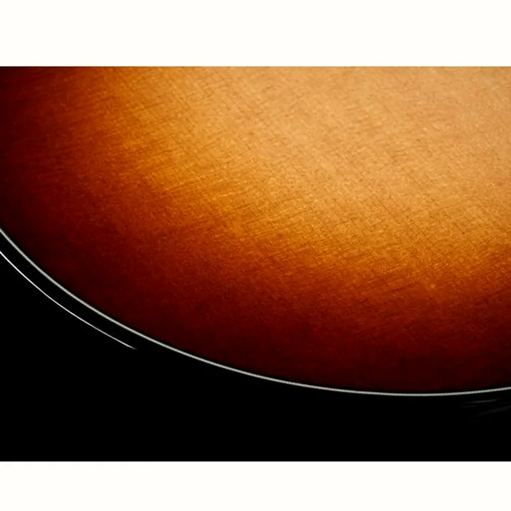 Taylor Builders Edition 514ce Kona NG
