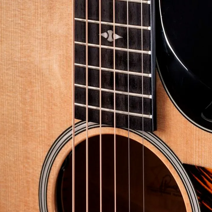 Taylor Builders Edition 514ce Next Ge