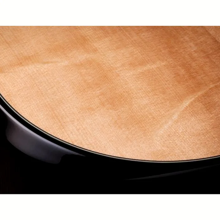 Taylor Builders Edition 514ce Next Ge