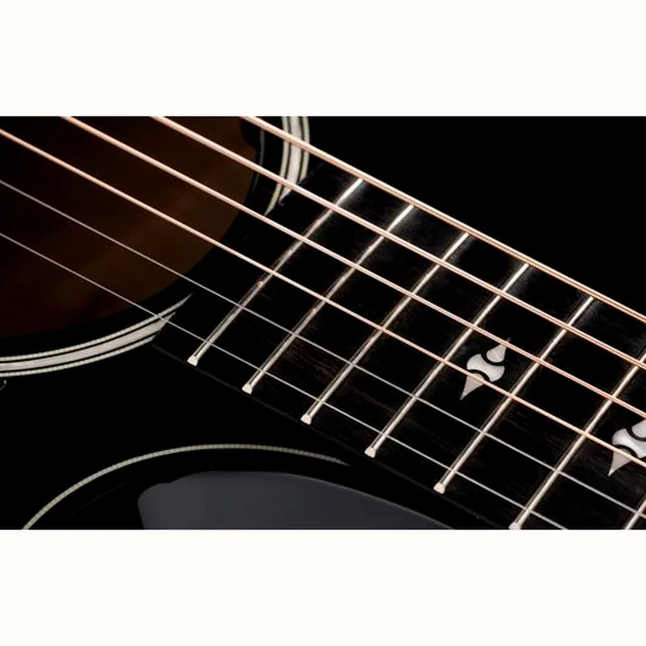 Taylor Builders Edition 524ce NG