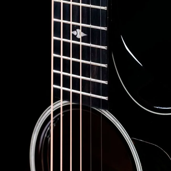 Taylor Builders Edition 524ce NG