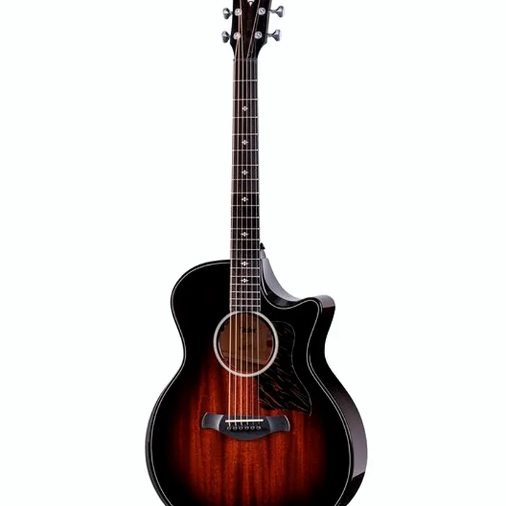 Taylor Builders Edition 524ce NG