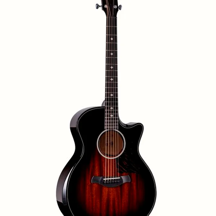 Taylor Builders Edition 524ce NG