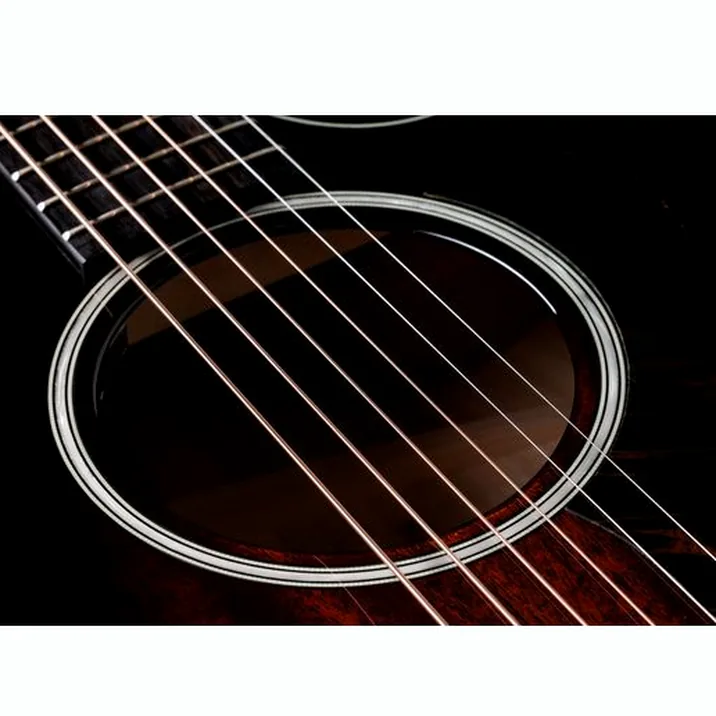 Taylor Builders Edition 524ce NG