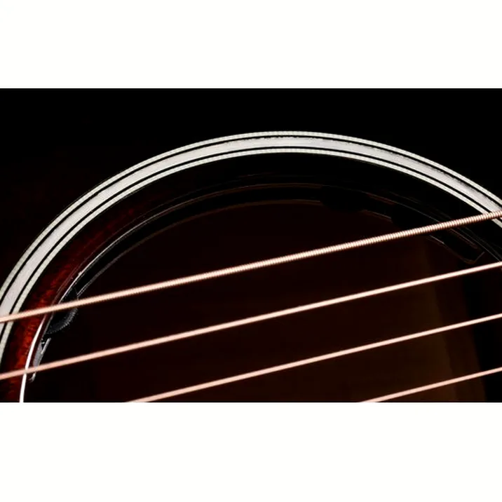 Taylor Builders Edition 524ce NG