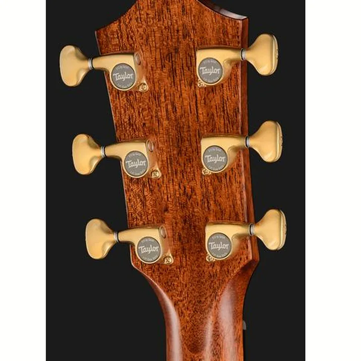 Taylor Builders Edition 814ce NG