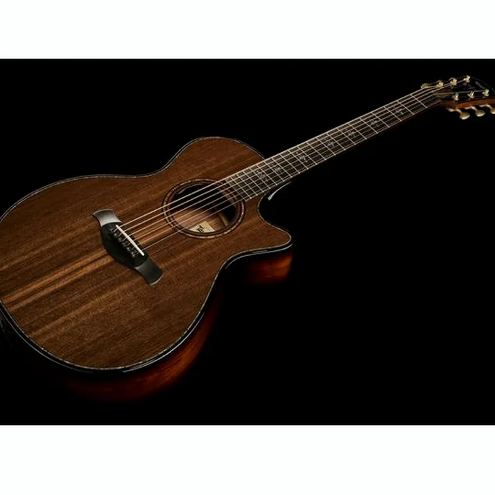 Taylor Builders Edition 912ce Sinker