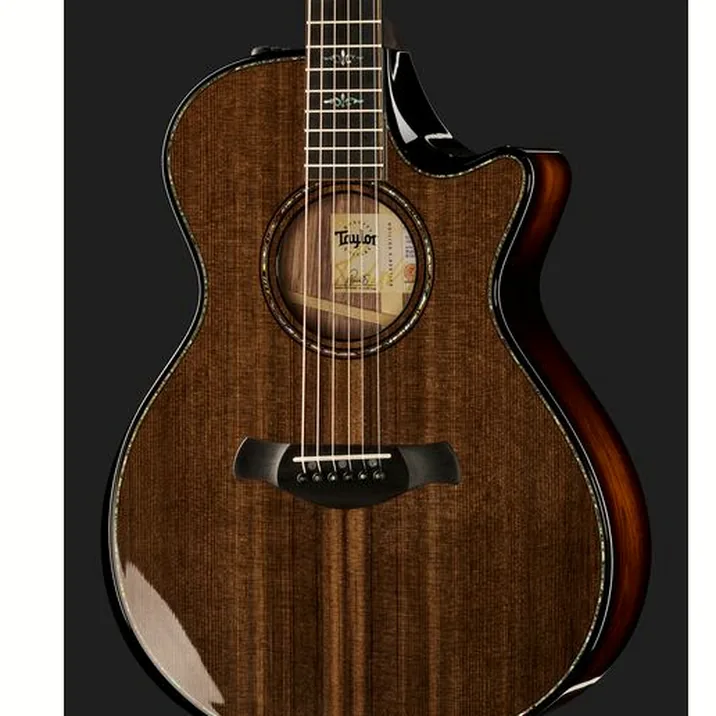 Taylor Builders Edition 912ce Sinker