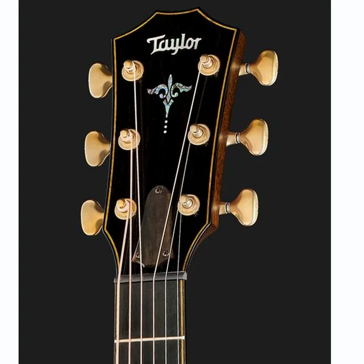 Taylor Builders Edition 912ce Sinker