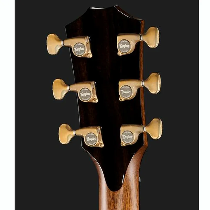 Taylor Builders Edition 912ce Sinker