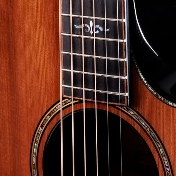 Taylor Builders Edition 914ce RW/RD N