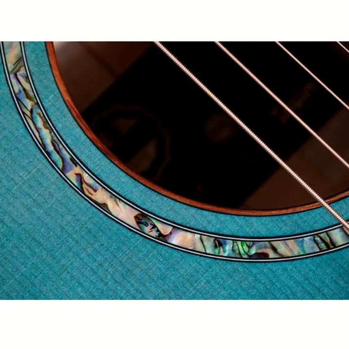Taylor C14ce B6023 Custom #23