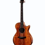 Taylor C22ce B6041 Custom #41 : Prueba, Precio y Opiniones Reales