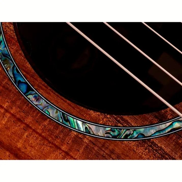 Taylor C22ce B6041 Custom #41