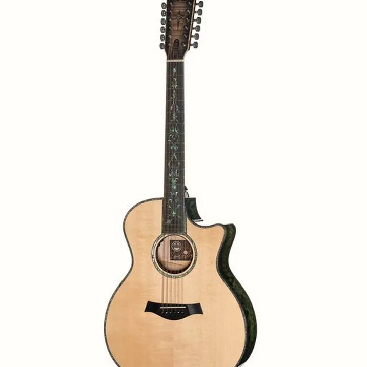 Taylor C54ce B6024 Custom