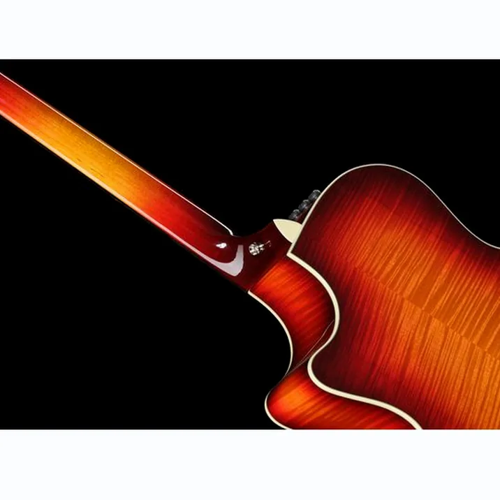 Taylor Custom #18: C14ce B5018