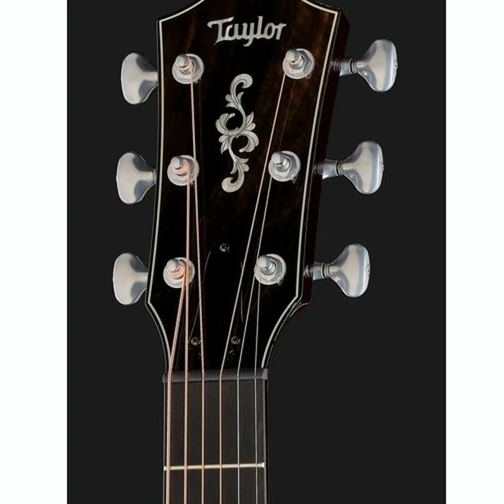 Taylor Custom #18: C14ce B5018