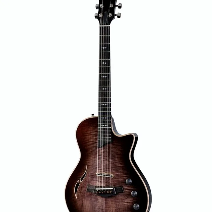 Taylor Custom #18 T5z