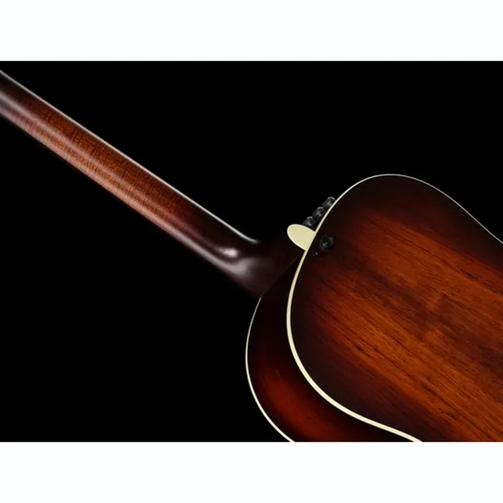 Taylor Custom #2: C17e B5002