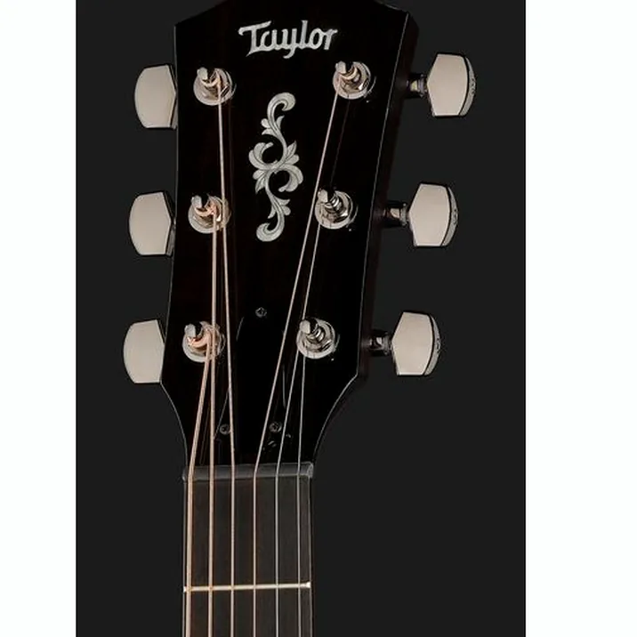Taylor Custom #2: C17e B5002